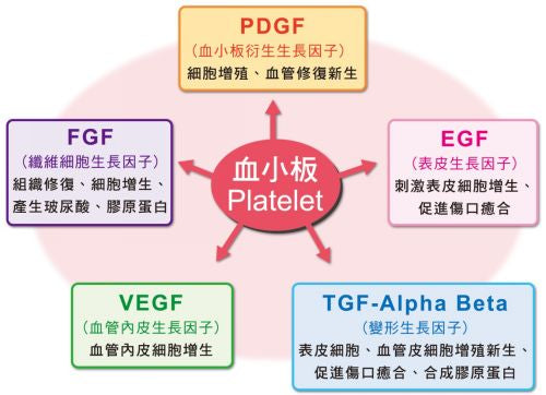 什麼是生長因子growth factor？