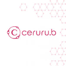 日本ceruru.B