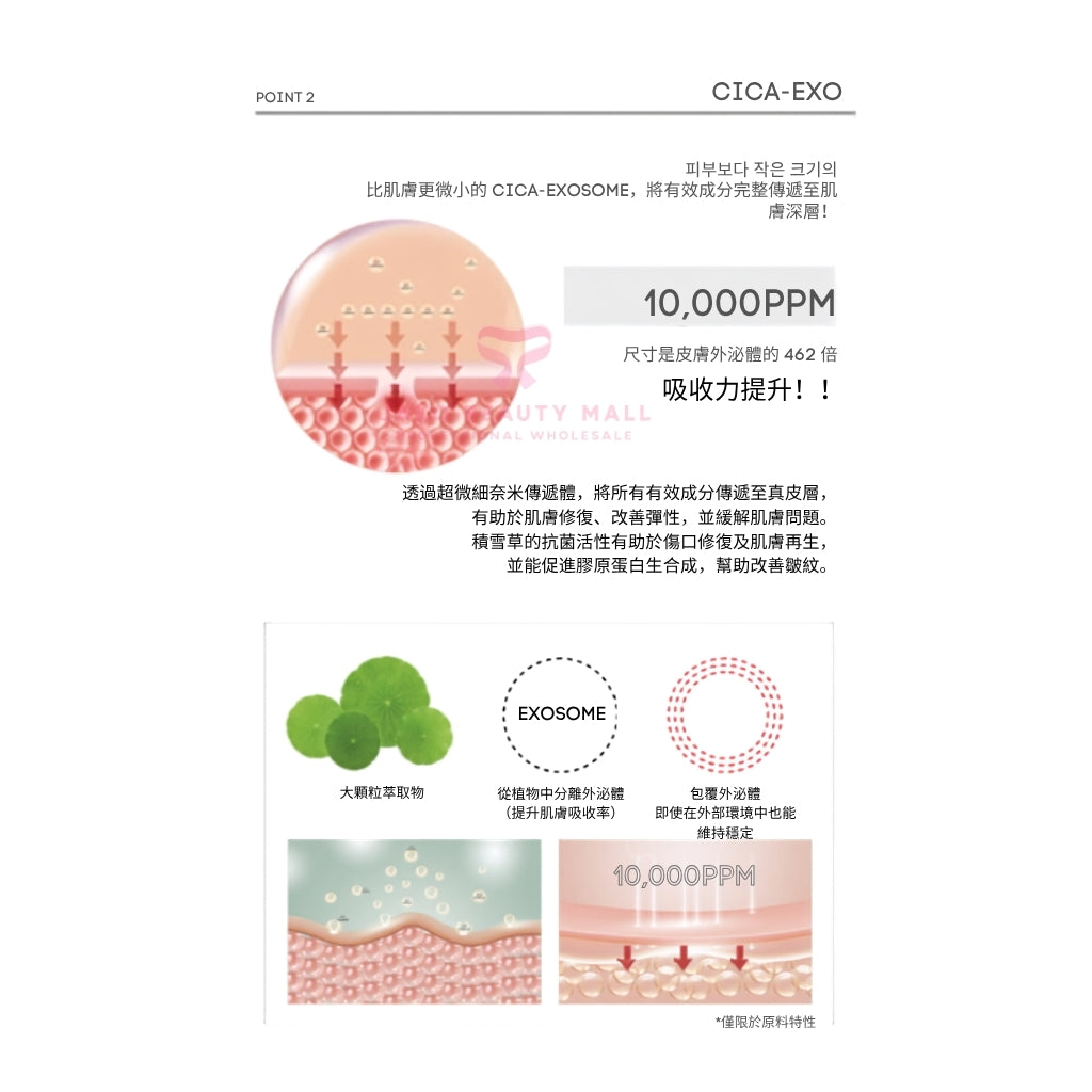 【現貨】韓國Ssedam 乳酸菌積雪草外泌體套盒| 外泌體去痘修復+重建皮膚免疫力